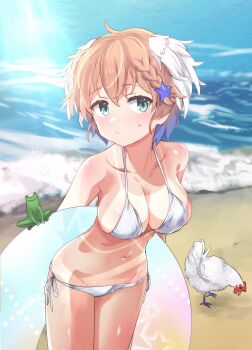 1girl absurdres ameline_s_moreau amelinesmoreau animal_ears arms_behind_back beach bikini bird blue_eyes breasts brown_hair chicken collarbone commentary_request feet_out_of_frame frog highres holding large_breasts navel noble_witches ocean original outdoors sand short_hair solo standing sweat swimsuit virtual_youtuber white_bikini world_witches_series