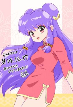 Rule 34 | 1girl, chinese clothes, hair ornament, purple hair, ranma 1/2, shampoo (ranma 1/2), tagme