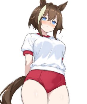 1girl animal_ears arms_behind_back blue_eyes blush brown_hair brown_tail buruma cheval_grand_(umamusume) closed_mouth commentary cowboy_shot embarrassed gym_shirt hair_between_eyes horse_ears horse_girl horse_tail multicolored_hair nanasedayoxd nose_blush puffy_short_sleeves puffy_sleeves red_buruma shirt short_hair short_hair_with_long_locks short_sleeves sidelocks simple_background single_hair_intake solo streaked_hair sweat symbol-only_commentary tail thighs umamusume white_background white_shirt white_streaks