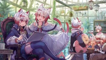 2boys 4girls :d animal_ears armchair blue_capelet blue_shorts blue_thighhighs blush capelet cat_ears cat_tail chair child closed_eyes coffee_pot crossed_legs cup dress eating flower garter_straps gradient_hair greenhouse hakama hakama_skirt head_tilt highres holding holding_pen holding_pillow indoors japanese_clothes komota_(kanyou_shoujo) lantern medium_hair multicolored_hair multiple_boys multiple_girls neck_flower neck_ribbon notebook open_mouth original pen pillow plant potted_plant red_eyes red_hair red_hakama red_ribbon ribbon rose shorts sitting skirt skirt_hold smile stool stuffed_animal stuffed_penguin stuffed_toy tail teacup tears thighhighs two-tone_hair white_dress white_hair wide-eyed yawning yellow_flower yellow_rose
