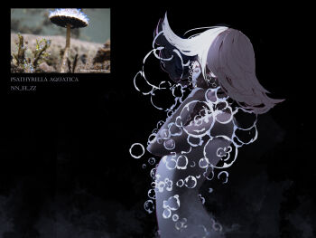 Rule 34 | 1girl, arched back, artist name, black background, black skin, blank eyes, bubble, colored eyelashes, colored skin, commentary, english commentary, floating hair, hair between eyes, hand on own face, highres, looking at viewer, medium hair, mushroom, mushroom girl, nezumiayasha, original, personification, photo inset, reference inset, signature, solo, twitter username, upper body, white hair