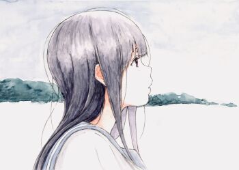 Rule 34 | 1girl, absurdres, bbmasa, black hair, blue sailor collar, commentary request, from side, hibike! euphonium, highres, horizon, liz to aoi tori, long hair, outdoors, red eyes, sailor collar, solo, traditional media, upper body, yoroizuka mizore