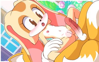 1girl brown_eyes buckhori159 cream_the_rabbit nipples nude penis pussy sonic_(series)