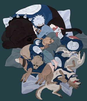 Rule 34 | 1boy, bandaged head, bandages, barefoot, black mask, blue headband, bulldog, closed eyes, collar, commentary request, dog, full body, grey background, grey hair, grey shirt, hatake kakashi, headband, highres, korean commentary, mask, mouth mask, multiple dogs, nagsu (narksuhaza), naruto (series), open mouth, pakkun (naruto), pillow, round eyewear, scar, scar across eye, scar on face, sharp teeth, shirt, short hair, sleeping, spiked collar, spikes, sunglasses, teeth, tongue, tongue out, under covers