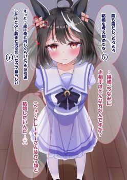 1girl ahoge animal_ears black_hair blush bow bowtie breasts closed_mouth collarbone commentary_request ear_ribbon hair_between_eyes hair_ornament highres horse_ears horse_girl horse_tail kitasan_black_(umamusume) large_breasts looking_at_viewer lpikamasi multicolored_hair puffy_short_sleeves puffy_sleeves purple_bow purple_bowtie purple_shirt red_eyes sailor_collar sailor_shirt school_uniform shirt shoes short_hair short_sleeves skirt solo speech_bubble streaked_hair tail thighhighs tracen_school_uniform translation_request umamusume variant_set white_hair white_sailor_collar white_skirt white_thighhighs wooden_floor