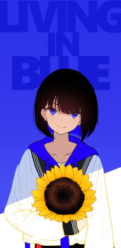 Rule 34 | 1girl, absurdres, black hair, blue background, closed mouth, collarbone, drawstring, english text, flower, highres, hood, hood down, long sleeves, looking at viewer, multicolored hair, original, osisio, puffy long sleeves, puffy sleeves, purple eyes, purple hair, shirt, sleeves past wrists, smile, solo, sunflower, text background, two-tone hair, upper body, white shirt, yellow flower