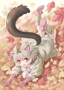 animal_ears autumn_leaves blush brown_hair dormouse_(kemono_friends) dress elbow_gloves frilled_dress frills fur_socks fur_trim gloves grey_dress grey_fur grey_hair hair_between_eyes highres jumping kemono_friends kosai_takayuki leaf leaf_pile looking_at_viewer lying mouse_ears mouse_girl mouse_tail multicolored_hair on_stomach open_mouth pink_gloves pink_shoes puffy_sleeves red_eyes scarf shoes short_hair sidelocks smile tail white_hair white_scarf