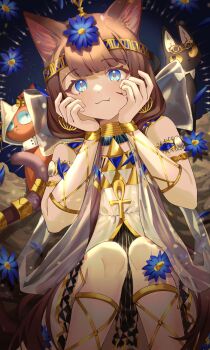Rule 34 | 1girl, absurdres, animal ears, animalization, ankh, arknights, blue eyes, blue flower, brown hair, cat, cat ears, cat tail, comiclove1314, flower, hair flower, hair ornament, hands on own face, highres, long hair, titi (arknights), official alternate costume, papyrus (arknights), pepe (arknights), pepe (nuit of the nightsky) (arknights), tail, tail ornament, tail ring