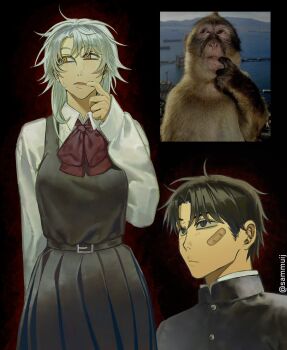 1boy 1girl animal bandaid bandaid_on_face belt belt_buckle black_belt black_eyes black_hair black_jacket black_skirt blush buckle buttons chainsaw_man collared_shirt commentary death_devil_(chainsaw_man) english_commentary finger_in_own_mouth fourth_east_high_school_uniform gakuran grey_hair highres jacket long_sleeves monkey neck_ribbon photo_inset pleated_skirt red_ribbon ribbon sammuij school_uniform shirt short_hair skirt sleeves_past_wrists sweat tearing_up tears twitter_username white_shirt