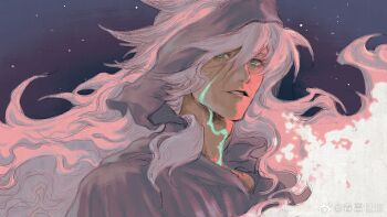 Rule 34 | 1boy, dark-skinned male, dark skin, dol amlep, fate/grand order, fate (series), glowing scar, green eyes, grey hair, hair between eyes, highres, long hair, looking at viewer, male focus, night, open mouth, outdoors, shirt, shunreiseiya, siegfried (fate), sky, solo, star (sky), upper body, watermark, weibo watermark