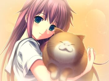1girl :3 animal cat closed_eyes game_cg green_eyes holding holding_animal holding_cat long_hair looking_at_viewer m&amp;m_(mickey_and_mackey) natsukami school_uniform serafuku shirt smile takasato_nanase upper_body white_shirt