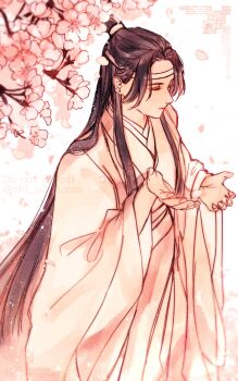 1boy aki_uzuzame black_hair branch cherry_blossoms chinese_clothes closed_eyes closed_mouth commentary_request cupping_hands falling_petals flower hands_up hanfu headband highres lan_wangji light_particles long_hair long_sleeves male_focus modao_zushi own_hands_together petals pink_flower pink_theme robe solo standing topknot twitter_username upper_body very_long_hair white_background white_hanfu white_headband wide_sleeves xiao_guan_(headdress)