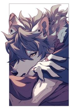 1boy black_hair black_shirt body_fur brown_eyes claws collar commentary ear_piercing fuji_166 furry furry_male grey_fur jewelry male_focus multiple_rings original piercing pillow ring shirt slit_pupils solo stomach symbol-only_commentary upper_body white_background wolf_boy