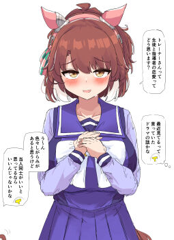 1boy 1girl absurdres animal_ears blue_skirt blush breasts brown_eyes commentary_request dantsu_flame_(umamusume) ear_covers gryebooks highres horse_ears horse_girl horse_tail large_breasts looking_at_viewer multicolored_hair open_mouth pleated_skirt school_uniform skirt speech_bubble t-head_trainer_(umamusume) tail thought_bubble tracen_school_uniform trainer_(umamusume) translation_request two-tone_hair umamusume white_background white_hair