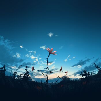 blue_sky cloud commentary dawn english_commentary flower flower_focus grass highres no_humans original outdoors pink_flower scenery sky the_protagonists_(protagonist2114)