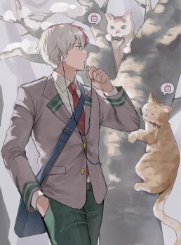 Rule 34 | 1boy, animal, bag, blazer, boku no hero academia, burn scar, buttons, cat, collared shirt, commentary request, dotogz, earphones, green pants, hand in pocket, highres, jacket, korean commentary, long sleeves, looking at animal, male focus, mouth hold, multicolored hair, necktie, pants, red hair, red necktie, scar, scar on face, school bag, shirt, short hair, shoulder bag, single earphone removed, split-color hair, spoken gift, standing, todoroki shoto, tree, two-tone hair, walking, white hair, white shirt