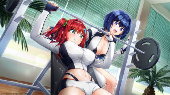 2girls :o bench_press bikini bikini_under_clothes blue_eyes blue_hair breasts cleavage copyright_notice dolphin_hair_ornament dolphin_wave exercising fingerless_gloves gloves green_eyes green_scrunchie hair_ornament hair_scrunchie highres large_breasts layered_bikini midriff multiple_girls navel official_art one_side_up ootomo_takuji sakimiya_iruka scrunchie short_hair shorts sweat swimsuit thighs tojou_michiru underboob weightlifting white_gloves white_shorts