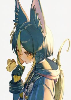 1boy animal_ear_fluff animal_ears black_gloves bug butterfly butterfly_on_hand closed_mouth commentary drawstring fox_ears genshin_impact gloves green_eyes hand_up highres hood hood_down insect looking_at_animal male_focus man015s simple_background solo tighnari_(genshin_impact) white_background yellow_butterfly