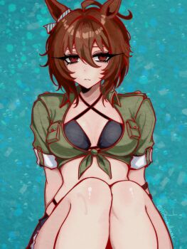 1girl absurdres agnes_tachyon_(lunatic_lab)_(umamusume) agnes_tachyon_(umamusume) ahoge animal_ears bikini black_bikini blush breasts brown_hair closed_mouth criss-cross_halter ear_ornament green_jacket hair_between_eyes halterneck highres horse_ears horse_girl jacket junoelise161 knees_up looking_at_viewer medium_breasts medium_hair official_alternate_costume open_clothes red_eyes shorts solo stomach swimsuit tied_jacket umamusume