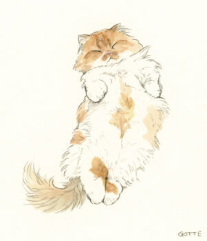 animal animal_focus artist_name cat closed_eyes commentary_request gotte highres lying no_humans on_back original simple_background sleeping white_background