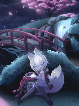 1girl animal_ears artist_request black_footwear black_jacket black_pantyhose bridge bush cherry_tree cup falling_petals fox_ears fox_girl fox_tail grass grey_hair hair_between_eyes highres jacket jar liquid night official_art open_mouth pantyhose petals phase_connect purple_eyes rock sakazuki second-party_source shirt short_hair shorts sky solo striped_clothes striped_shirt tail tenma_maemi theo_(tenma_maemi) two-tone_shirt virtual_youtuber water waterfall