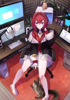 acoustic_foam ange_katrina ange_katrina_(1st_costume) arm_between_legs audio_interface bare_legs black_jacket blue_eyes breasts brown_cat cardigan cat chair character_doll closed_mouth commentary_request computer computer_keyboard computer_mouse computer_tower desk doll drawing_tablet dress from_above full_body hair_between_eyes hair_intakes hair_ornament hand_up headphones headphones_around_neck highres indoors inui_toko inui_toko_(1st_costume) jacket lize_helesta lize_helesta_(1st_costume) long_bangs long_sleeves looking_at_viewer looking_up mandragora microphone monitor mousepad_(object) multiple_monitors n3knp nijisanji off_shoulder on_chair pigeon-toed plant pop_filter potted_plant red_cardigan red_hair rug sanbaka_(nijisanji) sebastian_piyodore short_dress short_hair sitting slippers small_breasts smile solo speaker split_mouth swivel_chair triangle_hair_ornament virtual_youtuber white_dress white_slippers wooden_floor