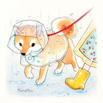 1other animal animal_focus boots clothed_animal commentary_request curled_tail dog hood hood_up konatsu_tunacan leash original rain raincoat rubber_boots shiba_inu solo_focus traditional_media walking