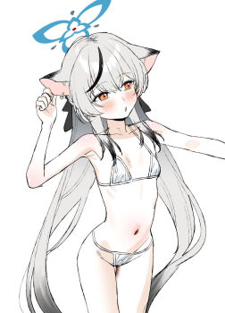 1girl :o animal_ears bikini black_hair blue_archive blue_halo blush breasts collarbone cowboy_shot dress grey_hair halo highres kokona_(blue_archive) loli long_hair multicolored_hair navel parted_lips simple_background small_breasts solo standing stomach streaked_hair subachi swimsuit thighs tiger_ears white_background white_bikini