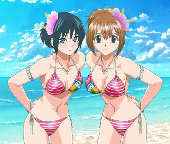 artist_request beach botan_nagatsuki breasts brown_hair elie_(rave) green_hair large_breasts monogatari_(onigunsou) rave_(mashima) short_hair swimsuit