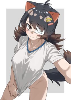 Rule 34 | 1girl, animal ears, antenna hair, australian devil (kemono friends), bare arms, black hair, blush, bottomless, breasts, brown eyes, brown hair, collarbone, commentary, cowboy shot, extra ears, eyepatch, gradient hair, grey background, gym shirt, hair ornament, hairclip, highres, kemono friends, kemono friends 3, long hair, looking at viewer, medical eyepatch, medium breasts, multicolored hair, naked shirt, one eye covered, reaching, reaching towards viewer, shirt, shirt tug, short sleeves, simple background, solo, split mouth, sweatdrop, t-shirt, tail, tanabe (fueisei), tasmanian devil ears, tasmanian devil tail, white shirt