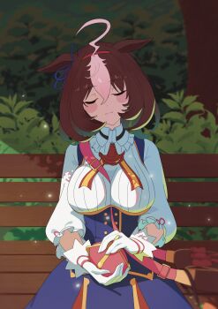 Rule 34 | 1girl, absurdres, ahoge, animal ears, bag, between breasts, blue dress, blush, blush stickers, bow, breasts, brown hair, closed eyes, closed mouth, commentary, crown, double-parted bangs, dress, ear ribbon, gloves, hair between eyes, hairband, headband, highres, holding, holding crown, horse ears, horse girl, large breasts, long sleeves, meisho doto (turbulent blue) (umamusume), meisho doto (umamusume), mini crown, multicolored hair, on bench, pink crown, pink hairband, pink headband, shirt, short hair, shoulder bag, sitting, solo, strap between breasts, szar0918, two-tone hair, umamusume, white gloves, white hair, white shirt