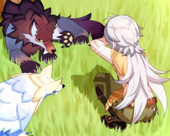 1boy animal belt boots cat_shadow_puppet_(meme) creature faceless from_behind genshin_impact grass highres long_hair meme razor razor_(genshin_impact) shadow solo squatting white_hair wolf yoi_(a27963244)