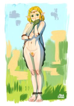 1girl barefoot blonde_hair blonde_pubic_hair cleft_of_venus flashing full_body nickeronic nintendo pointy_ears princess princess_zelda pubic_hair pussy signature solo standing the_legend_of_zelda the_legend_of_zelda:_tears_of_the_kingdom