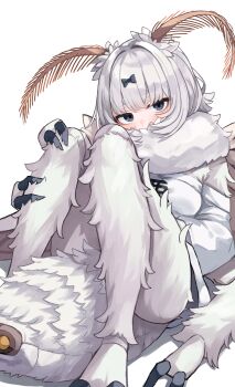 Rule 34 | 1girl, abdomen tail, antennae, arthropod girl, black bow, black eyes, body fur, bow, commentary request, compound eyes, covered mouth, extra arms, fewer digits, full body, hair bow, highres, insect girl, insect wings, kaiko-chan (planhaplalan), knees up, kumano plan, long sleeves, looking at viewer, monster girl, moth antennae, moth girl, moth wings, neck fur, off-shoulder shirt, off shoulder, original, shirt, short hair, simple background, sitting, solo, thick eyebrows, white background, white fur, white hair, white shirt, wings