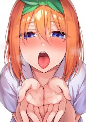 Rule 34 | 1girl, absurdres, aroused, blue eyes, blush, breath, close-up, collared shirt, commentary, cupping hands, eyes visible through hair, fingernails, go-toubun no hanayome, green ribbon, hair between eyes, hair ribbon, half-closed eyes, hands up, highres, kouzuki (majc8345), looking at viewer, medium hair, nakano yotsuba, nose blush, open mouth, oral invitation, orange hair, own hands together, raised eyebrows, ribbon, shirt, short sleeves, simple background, solo, straight hair, sweat, teeth, tongue, tongue out, tsurime, upper teeth only, white background, white shirt