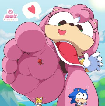 4_toes absurdres amy_rose bare_legs barefoot censored_panties chibi dress extreme_size_difference feet foot_focus foot_play furry giant groin hetero highres knuckles_the_echidna legs loli medium_hair petite running sega shadowmegacollection shota size_difference smile soles sonic_&amp;_friends sonic_(series) sonic_the_hedgehog stuck_to_foot tails_(sonic) toes
