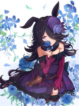 Rule 34 | 1girl, absurdres, animal ears, bare shoulders, black thighhighs, blue dress, blue flower, blue hat, blue rose, blush, breasts, brown hair, closed mouth, commentary request, dagger, dress, flipped hair, flower, fur choker, hair over one eye, hat, hat flower, highres, holding, holding flower, horse ears, horse girl, horse tail, kaze ju, knife, long hair, long sleeves, looking at viewer, off-shoulder dress, off shoulder, purple eyes, rice shower (rosy dreams) (umamusume), rice shower (umamusume), rose, sheath, sheathed, shoes, small breasts, solo, tail, thighhighs, tilted headwear, umamusume, weapon
