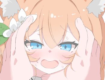 1girl 1other animal_ear_fluff animal_ears blue_archive blue_eyes blush brown_hair cat_ears commentary_request flower grabbing_another&#039;s_face hair_between_eyes hair_flower hair_ornament head_grab highres looking_at_viewer mari_(blue_archive) norippe_(user_zgsf8872) open_mouth sweat white_background white_flower