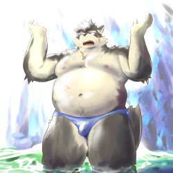 Rule 34 | 1boy, animal ears, arms up, bad id, bad twitter id, bara, big belly, blue male swimwear, brown fur, dog boy, dog ears, fat, fat man, fawn2661, furry, furry male, highres, looking up, male focus, male swimwear, moritaka (housamo), multiple scars, nipples, plump, scar, solo, sunlight, swim briefs, thick eyebrows, thick thighs, thighs, tokyo houkago summoners, wading