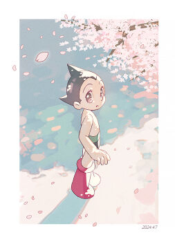 Rule 34 | 2024, :o, artist request, atom (tetsuwan atom), dated, falling petals, full body, highres, looking at viewer, outdoors, petals, pointy hair, sakura petals, shiny skin, simple background, spiked hair, standing, tetsuwan atom, tree