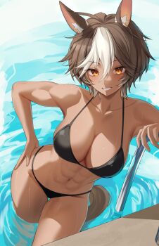 1girl abs absurdres alternate_costume animal_ears bikini black_bikini breasts brown_eyes brown_hair brown_tail cleavage collarbone commentary english_commentary hair_between_eyes highres horse_ears horse_girl horse_tail large_breasts medium_hair multicolored_hair muscular muscular_female navel partially_submerged pool second-party_source smile sohdvh_khos_ph solo swimsuit tail teeth tomoe_umari v-dere virtual_youtuber wet white_hair