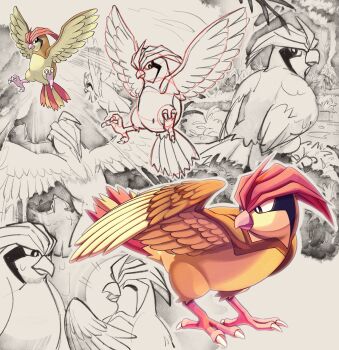 beak bird bright_pupils brown_eyes commentary_request feathers flying gen_1_pokemon grass highres nintendo pidgeot pidgeotto pidgey pigeon pokemon pokemon_(creature) pokemon_rgby shoupitsuki sketch standing talons white_pupils wings