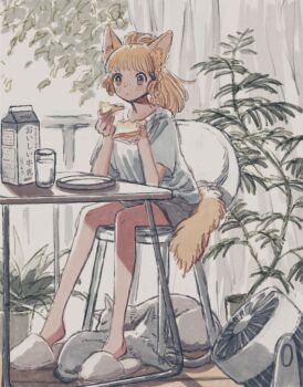 1girl :o animal_ear_fluff animal_ears blush brown_eyes cat cat_girl chair commentary cup curtains eating electric_fan eokaku_surimi foliage food full_body highres milk milk_carton multiple_cats orange_hair orange_tail original plant plate ponytail potted_plant railing shirt shorts slippers solo symbol-only_commentary t-shirt table tail translated wooden_floor