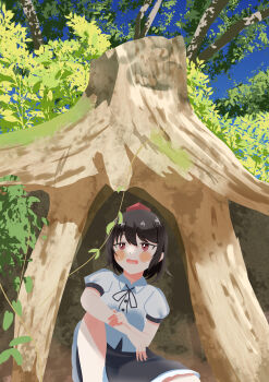 1girl absurdres black_ribbon black_skirt blush_stickers brown_eyes brown_hair buttons collared_shirt commentary_request gasubanana hand_on_own_arm hat highres hot leaf neck_ribbon open_mouth partial_commentary plant puffy_short_sleeves puffy_sleeves red_hat ribbon shameimaru_aya shirt short_hair short_sleeves sidelocks sitting skirt sleeve_cuffs solo summer sweat swept_bangs tokin_hat touhou tree under_tree white_shirt