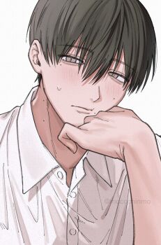 Rule 34 | 1boy, black hair, collared shirt, commentary request, grey eyes, hand on own face, highres, hikaru ga shinda natsu, looking at viewer, male focus, moccchinmo, mole, mole on cheek, mole on neck, mole under eye, mole under mouth, multiple moles, shirt, short eyebrows, short hair, simple background, solo, tsujinaka yoshiki, white background, white shirt