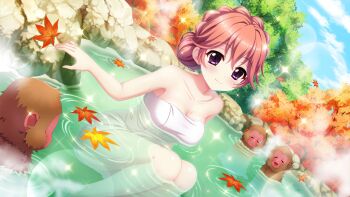 1girl autumn_leaves blue_sky braid breasts cleavage closed_eyes closed_mouth cloud collarbone crown_braid day dot_nose dutch_angle film_grain game_cg haeno_akari hair_bun hair_up izumi_tsubasu large_breasts leaf lens_flare monkey naked_towel non-web_source official_art onsen open_mouth orange_hair outdoors partially_submerged purple_eyes re:stage! rock sitting sky smile solo sparkle towel tree