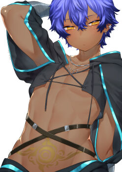 1boy absurdres arm_behind_head arm_up blue_hair blue_trim dark-skinned_male dark_skin earrings fate/grand_order fate_(series) hassan_of_the_shining_star_(fate) highres jewelry lace male_focus necklace pectorals pubic_tattoo solo strap tan tattoo tawapo upper_body white_background yellow_eyes
