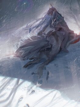 Rule 34 | 1girl, anastasia (third ascension) (fate), blood, cape, crown, dress, fate/grand order, fate (series), fur-trimmed cape, fur trim, highres, long hair, on ground, see-through clothes, see-through veil, snowing, solo, ubwmitekure, veil, very long hair, white hair, winter, wolf