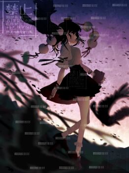 1girl absurdres bare_legs bird black_bird black_hair black_skirt blurry bobby_socks bracelet breasts commentary crow depth_of_field from_side hat highres holding holding_notebook jewelry looking_at_viewer medium_breasts no_wings notebook outdoors pom_pom_(clothes) profile shameimaru_aya shirt short_hair short_sleeves sideways_glance simple_bird skirt socks solo tokin_hat touhou twitter_username watermark white_shirt white_socks yoruchika_(xrsh5345)