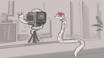animal_focus camera fake_antlers hat indoors ing_(ing205509) no_humans plant red_hat reverse:1999 santa_hat snake